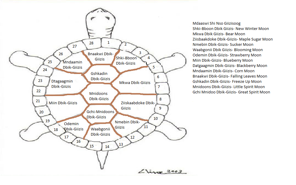 Thirteen Moons on a Turtle's Back Ojibwe Calendar Waabanokwe